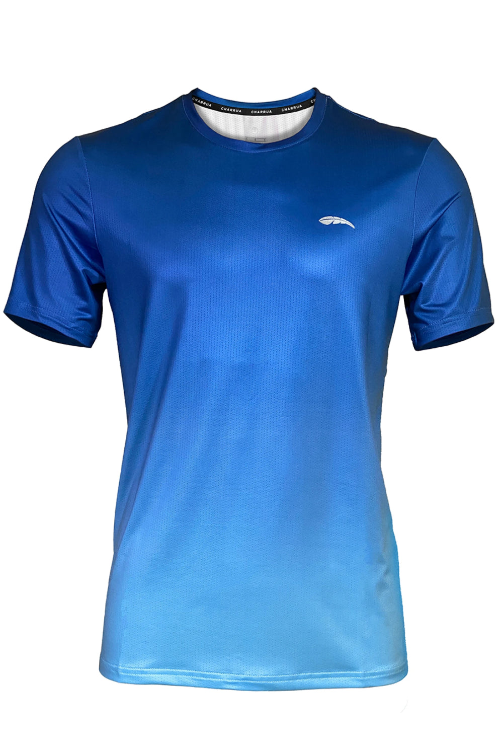 Remera Dry Fit Deportiva Masculina Hombre Charrua Brisa