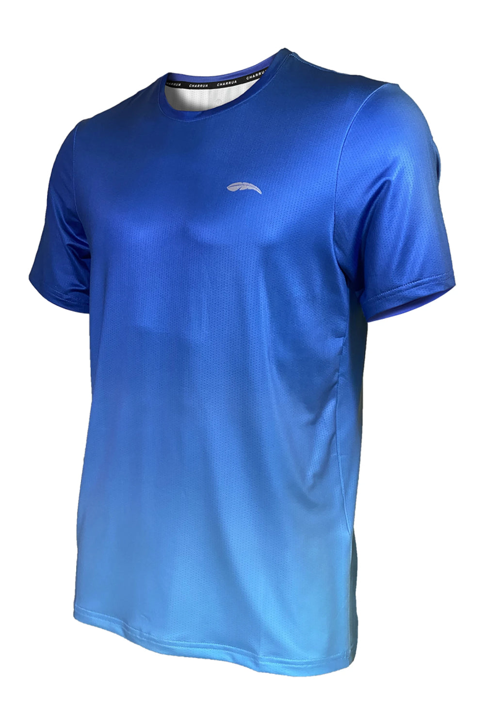 Remera Dry Fit Deportiva Masculina Hombre Charrua Brisa