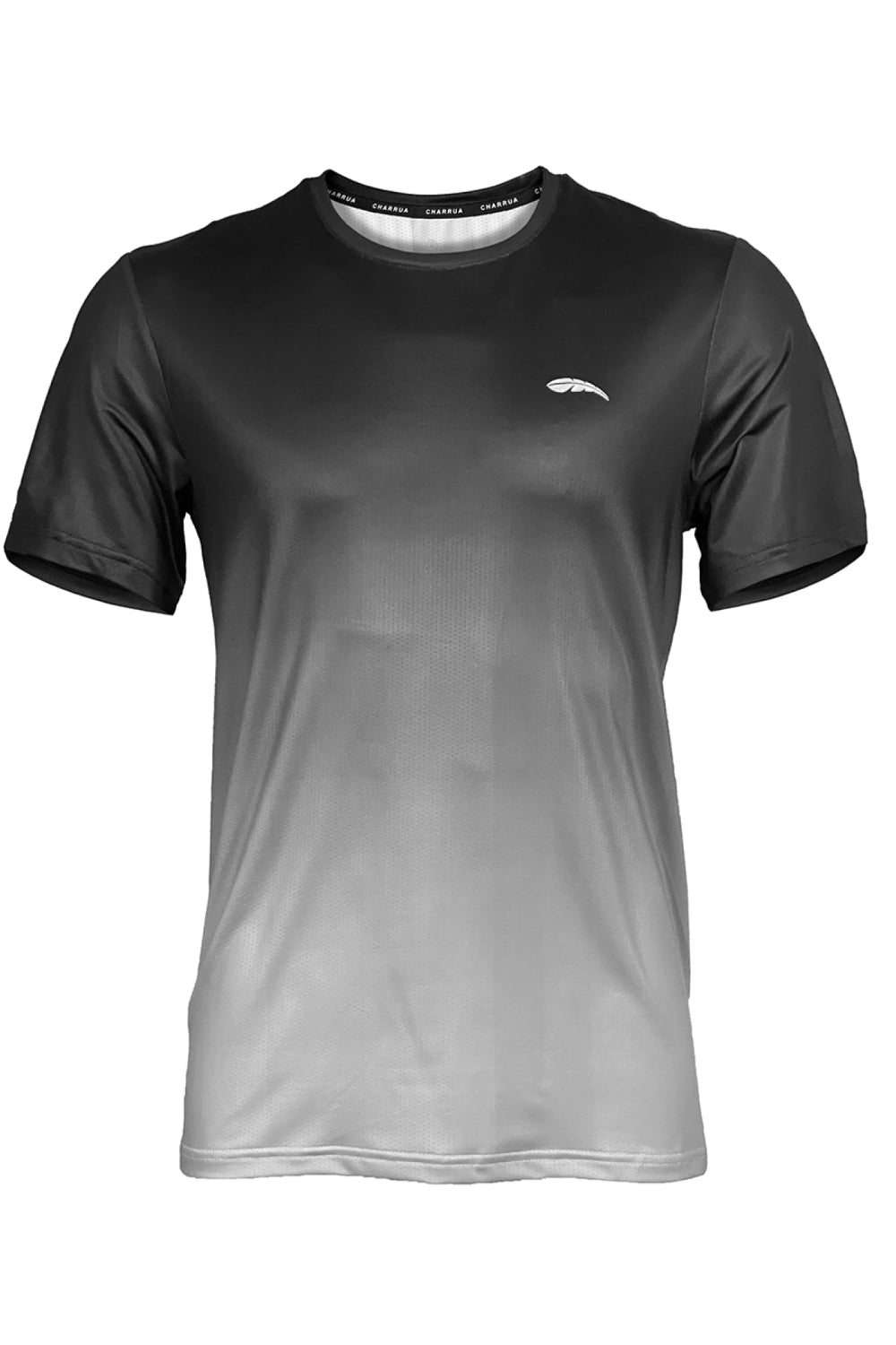 Remera Dry Fit Deportiva Masculina Hombre Charrua Brisa