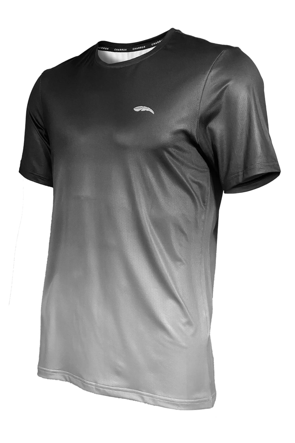 Remera Dry Fit Deportiva Masculina Hombre Charrua Brisa