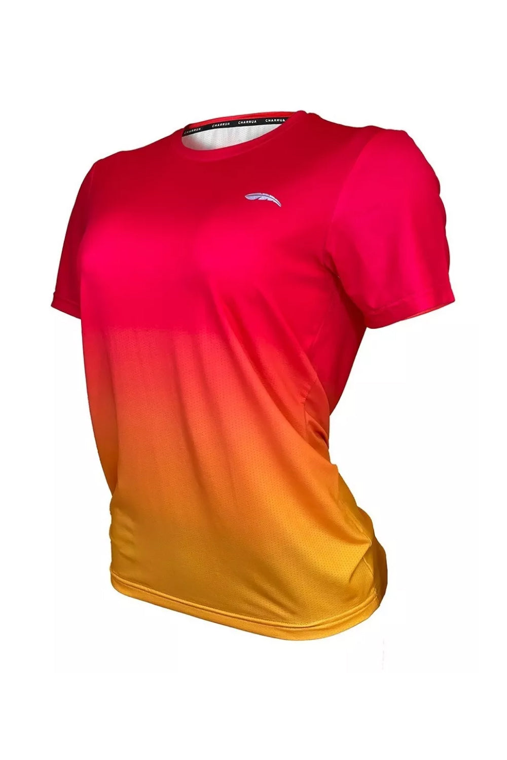 Remera Dry Fit Deportiva Femenina Mujer Charrúa Brisa